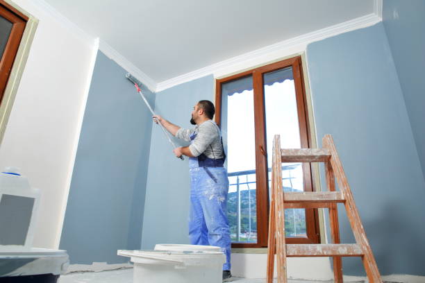 Best Wallpaper Removal and Painting  in Clinton, IA