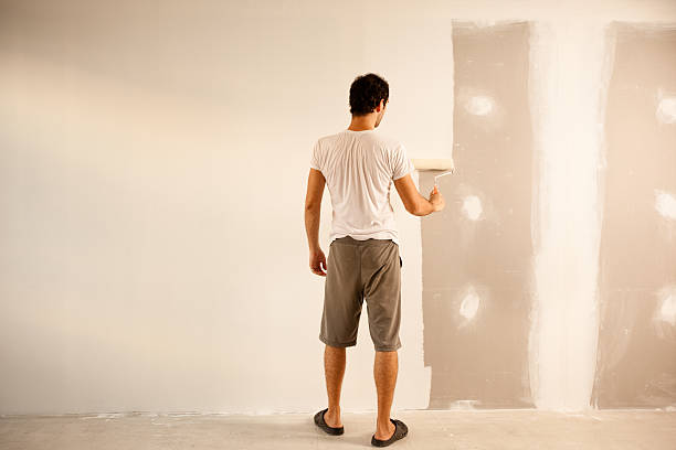 Best Eco-Friendly and Low-VOC Painting  in Clinton, IA